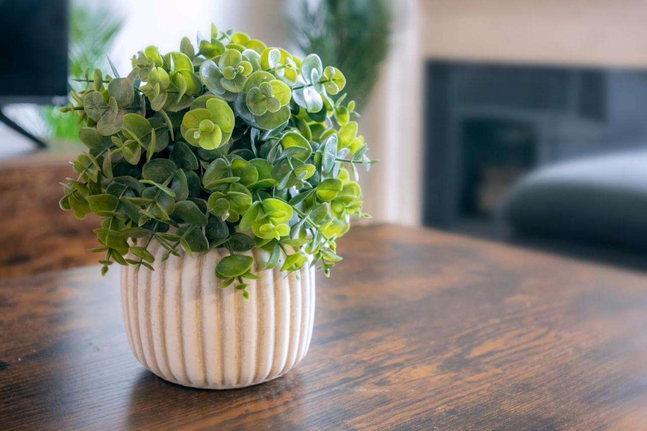Cozy Home Management In Mdr Los Angeles Eksteriør billede